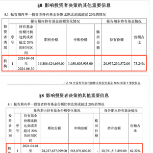 重磅曝光！中央汇金二季度继续增持ETF