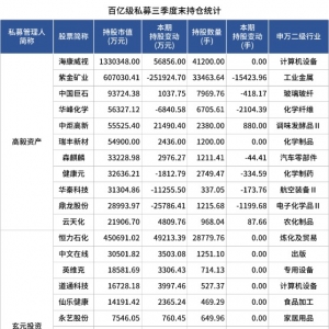 邓晓峰、冯柳、董承非超300亿元持仓股票曝光