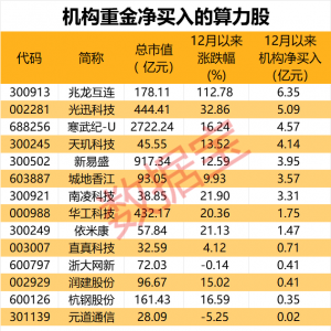 算力即国力 14只概念股票获机构抢筹（附名单）