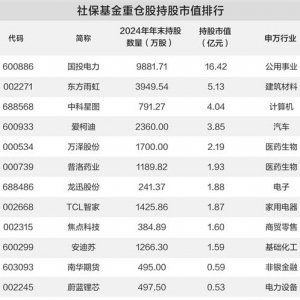 社保基金现身12股股东名单（股票）