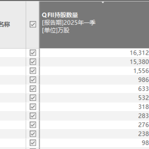 QFII持仓曝光 全球资管巨头盯上这些股票