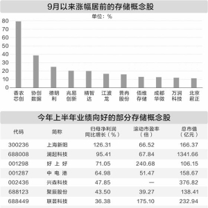 存储市场迎来新一轮涨价潮17只概念股上半年盈利增长