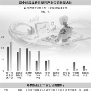估值、业绩、赛道、政策赋能 新股市场焕发新活力