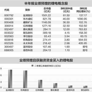 AI应用赛道热度抬升 12家公司上半年业绩亮眼